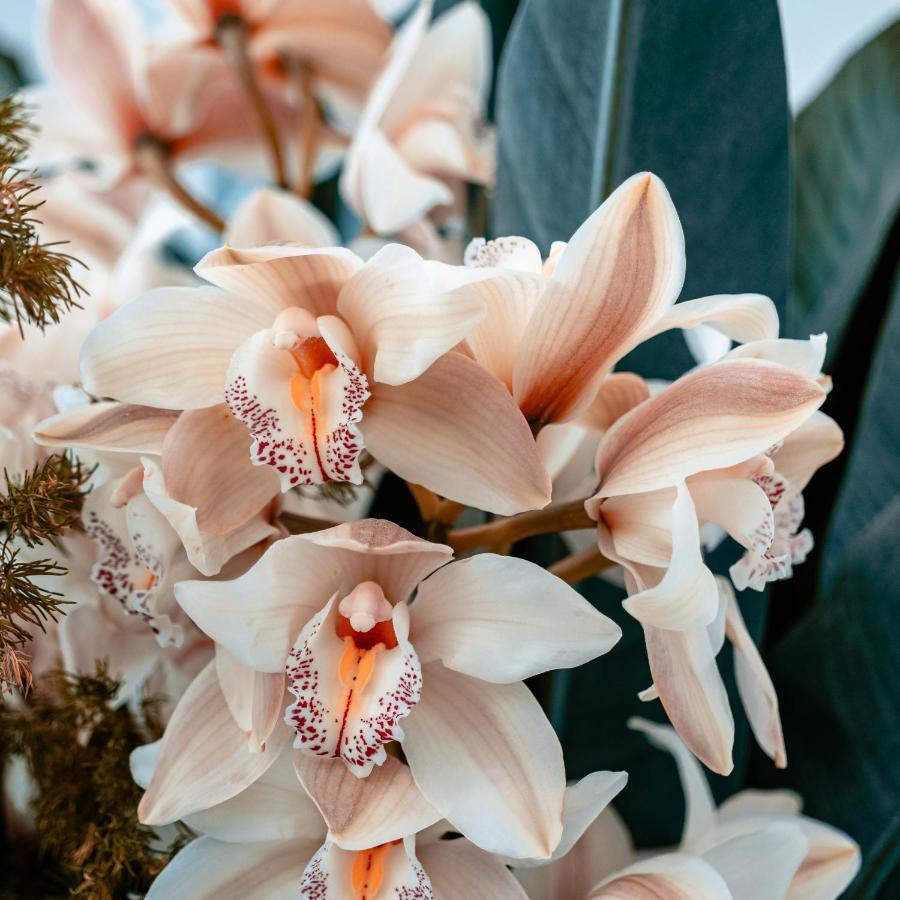 Villa Orchid Garden Riverside Hội An Extérieur photo