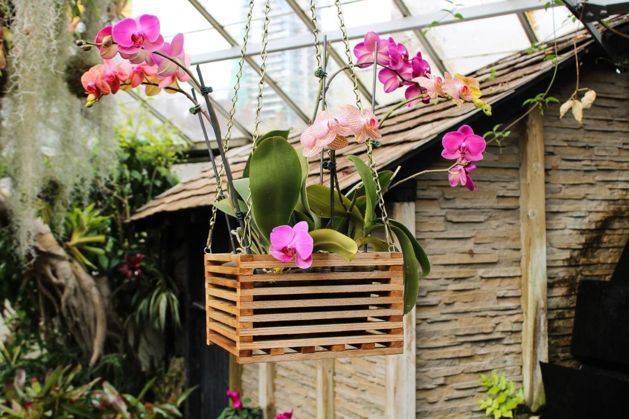 Villa Orchid Garden Riverside Hội An Extérieur photo